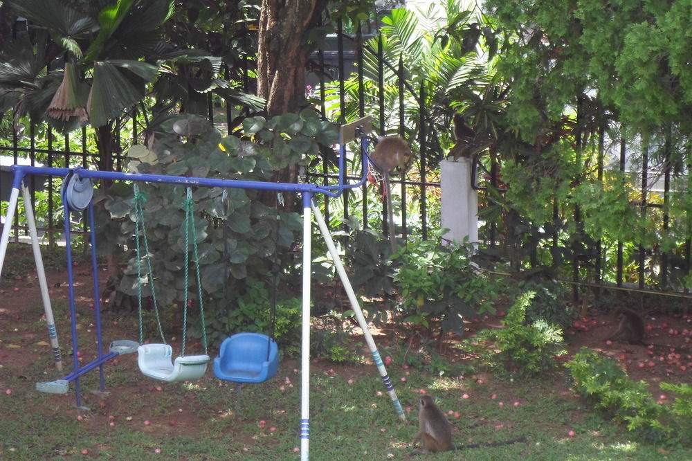 Kandy Green View Bungalow Zewnętrze zdjęcie
