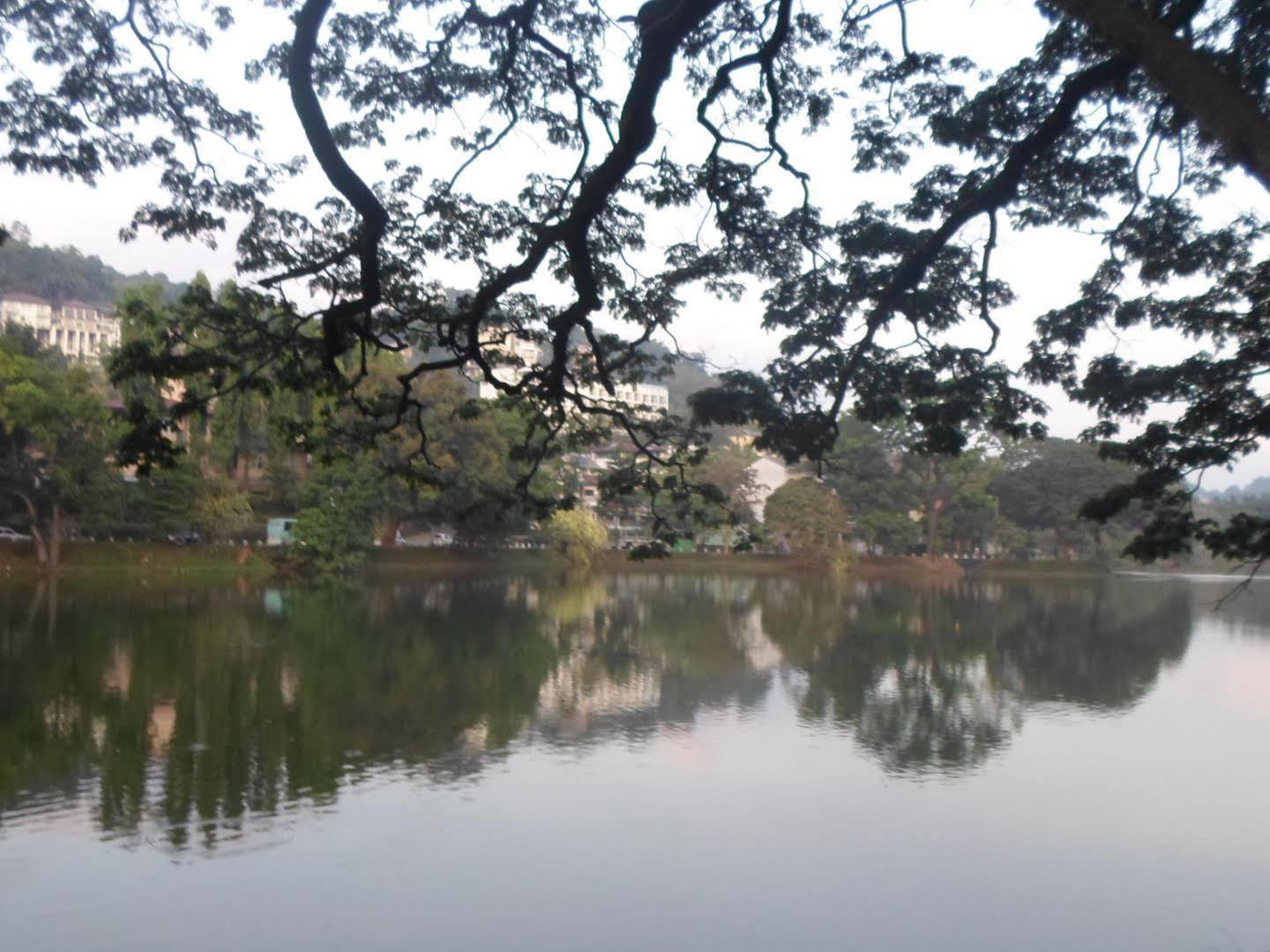Kandy Green View Bungalow Zewnętrze zdjęcie